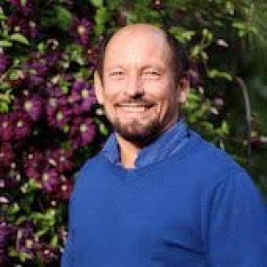 Камерон Стаут