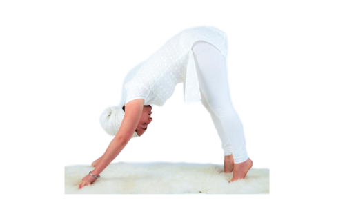 Весенняя крийя. Внутренний запас жизненных сил и выносливость