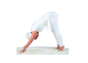 Весенняя крийя. Внутренний запас жизненных сил и выносливость