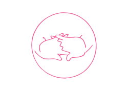 Вытягивание переплетённых рук вперед, вверх, к груди - мудра