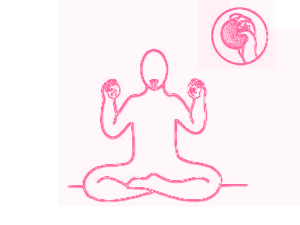 Иммунная йога II