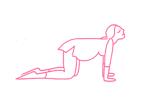 Кошка корова (без прогиба, для беременных) (1-3 мин). Упражнение Кундалини Йоги 1