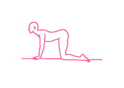 Кошка-Корова (вариация) - Кундалини Йога 1