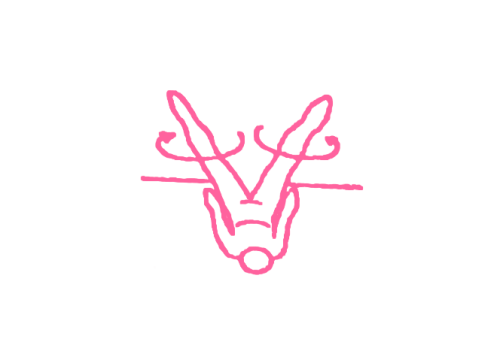 КРУГОВЫЕ ДВИЖЕНИЯ НОГАМИ ЛЕЖА НА СПИНЕ