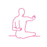 Крийя «Антистресс для Надпочечников и Почек»