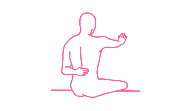 Крийя «Антистресс для Надпочечников и Почек»