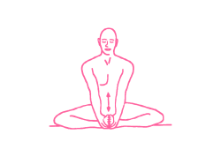 Наклон в Позе Бабочки (1 мин). Упражнение Кундалини Йоги