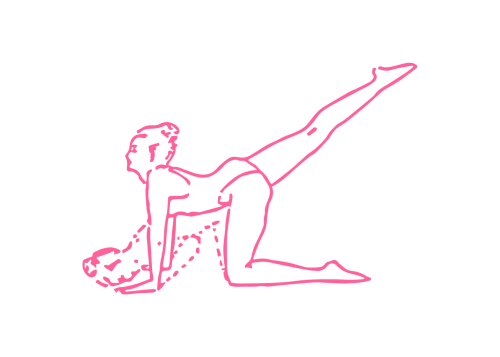 Отжимания с поднятой ногой в Позе Кошки-Коровы (108 раз)