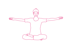 Паван Крийя