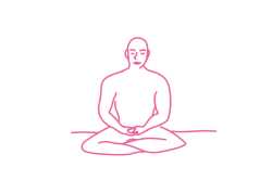 Иммунитет и сердце