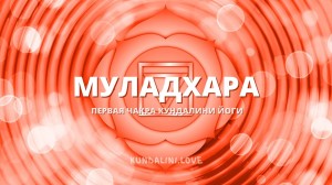 Муладхара чакра (Первая чакра, Корневая чакра)