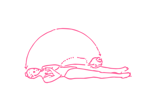 Подъем туловища с наклоном лба к коленям (52 раза)