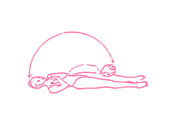 Подъем туловища с наклоном лба к коленям (52 раза)