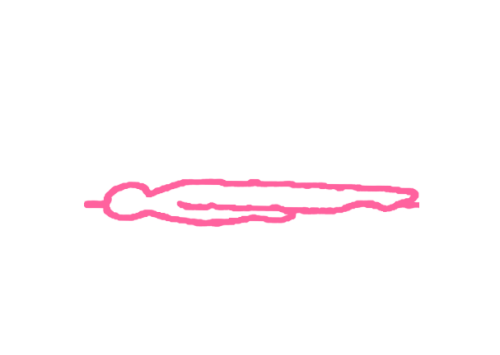 Подтягивание колен к груди и подъем ног на 90 градусов (1 мин 30 сек) 1