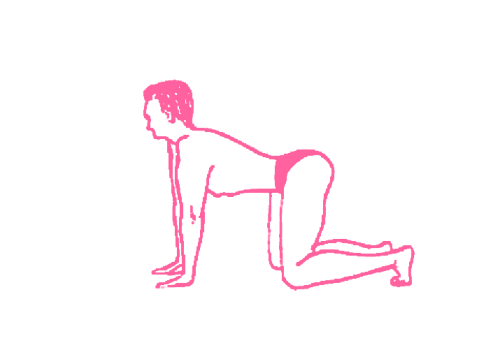 Полудикая лошадь, встающая на дыбы 1. Упражнение Кундалини Йоги