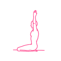 Сопротивляемость болезням