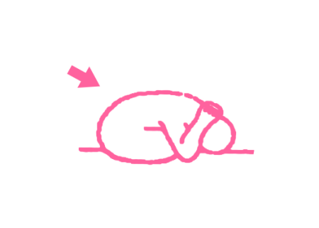 Повороты туловища влево-вправо-вперед-назад (6 мин). Упражнение Кундалини Йоги 3 Повороты туловища влево-вправо-вперед-назад (6 мин). Упражнение Кундалини Йоги 3