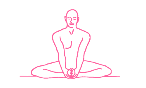 Поза Бабочки (Баддха Конасана)