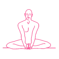 Крийя для инстинктивного Я