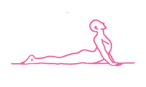 Поза Кобры (Бхуджангасана)