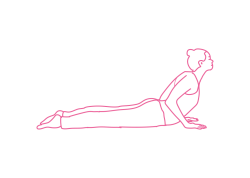 Поза Кобры с Ситали Пранаямой (1-3 мин) в Кундалини Йоге