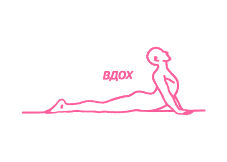 Поза Кобры (Бхуджангасана). Упражнение Кундалини Йоги