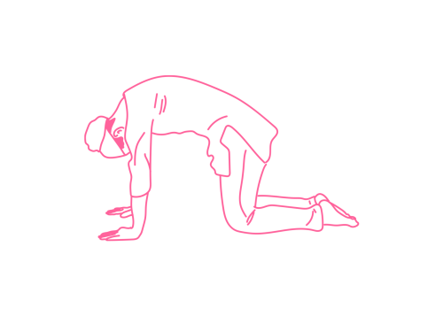 Поза Кошки. Упражнения кундалини йоги для женщин