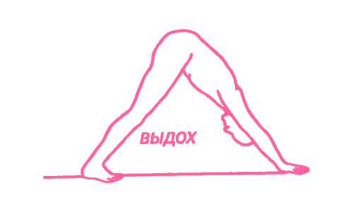 Сурья Намаскар – Приветствие солнцу