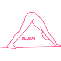 Сурья Намаскар – Приветствие солнцу