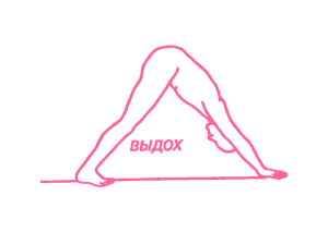 Сурья Намаскар – Приветствие солнцу