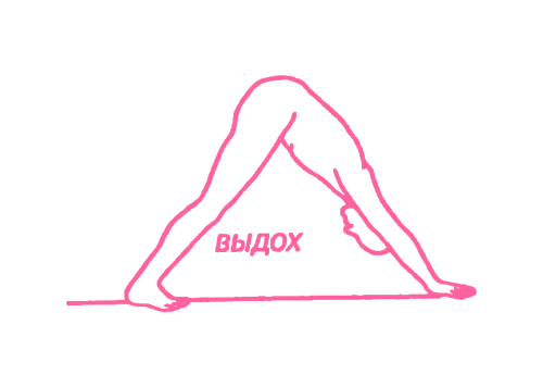 Поза Треугольника (Адхо Мукха Шванасана). Упражнение Кундалини Йоги