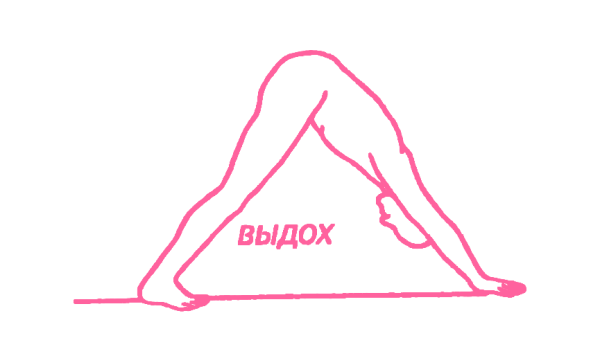 Сурья Намаскар – Приветствие солнцу