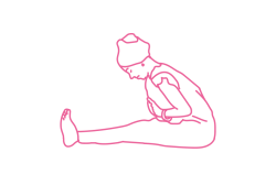 Наклоны вперед из положения лежа (26 раз)