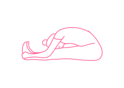 Растяжение вперед с Дыханием Огня (1-2 мин)