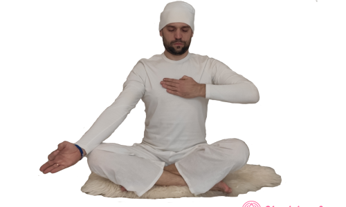 Синхронизирующая медитация «Щит для Сердца»