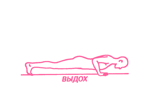 Толчок вверх (Чатуранга Дандасана). Упражнение Кундалини Йоги