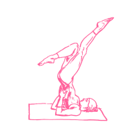 Сила сексуального нерва