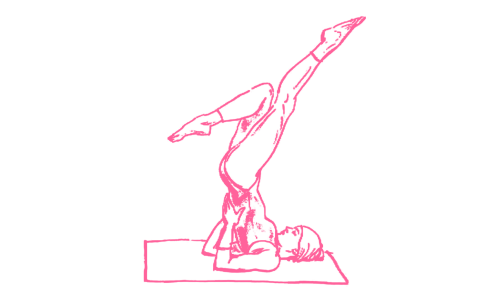 Сила сексуального нерва