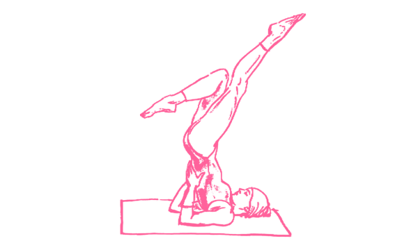 Сила сексуального нерва