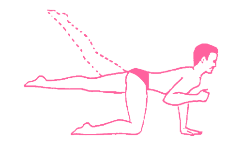 Потенция и мужская энергия